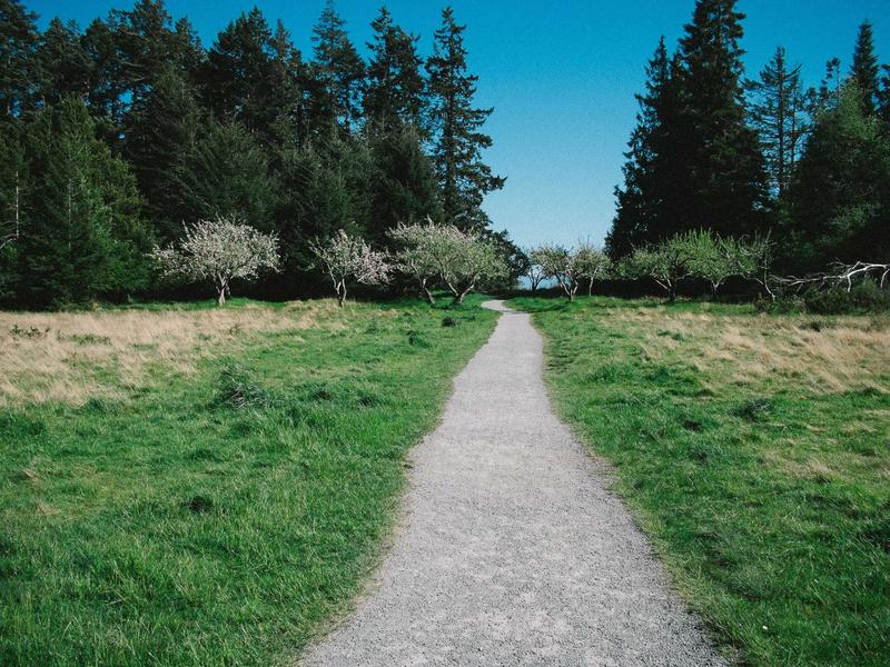 QuicenSaivoBel Cancún 2